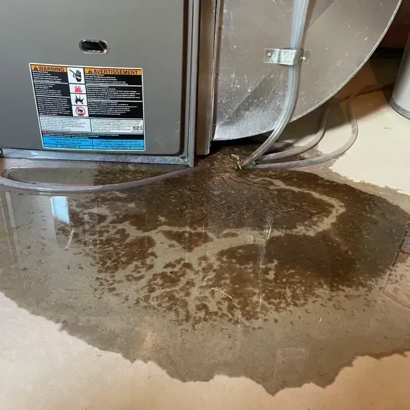 Appliance Leak Cleanup in Calhoun, GA